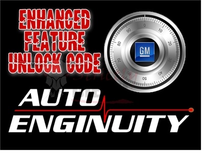 Autoenginuity with the ford enhancement #5
