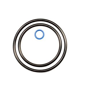 Dipstick Adapter O-Ring Kit